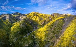 Картинка california, plain, national monument, carrizo