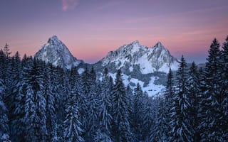 Картинка зима, лес, скалы, снег, небо, природа, деревья, горы