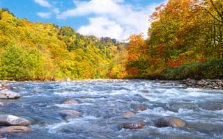 Картинка осень, ранняя, река, камни, поток, лес