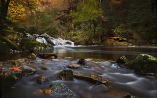 Картинка осень, лес, Англия, River Erme, Devon, камни, England, река, Девон
