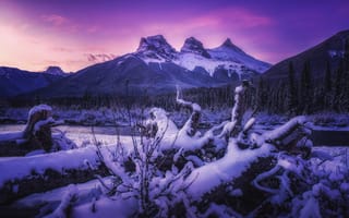 Картинка зима, лес, Канада, деревья, закат, горы, снег, река