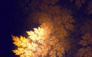 Картинка nature, leaves, tree
