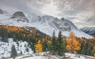 Картинка winter, mountains, snow