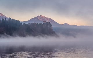 Картинка деревья, горы, Slovenia, рассвет, туман, скалы, Словения, Бледский замок