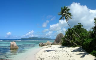 Обои остров, пальмы, море, пляж