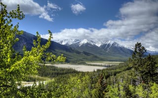 Картинка лес, Скалистые горы, Банф, Banff National Park, Canada, Rocky Mountains, Альберта, Alberta, Канада