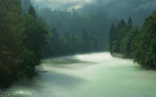 Картинка Берхтесгаден, лес, дождь, река, Бавария