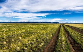 Картинка дорога, Mongolia, пейзаж, поле