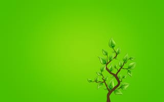 Картинка минимализм, листья, ветка, зеленоватый фон, капли, дерево