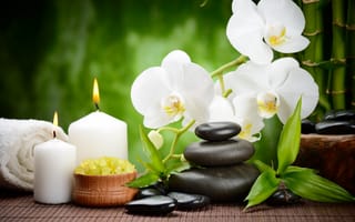 Картинка flowers, цветок, massage, массажные, бамбук, орхидея, камни, свечи, bamboo, спа, черные, spa, candles, black, orchid, stones