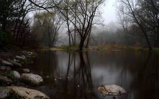 Картинка туман, озеро, камни, лес, осень