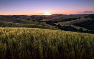 Картинка пейзаж, закат, поле, Tuscany, Volterra