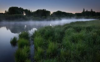 Картинка утро, рассвет, туман, трава, лес, озеро