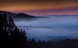 Картинка утро, туман, горы, дымка, рассвет, лес