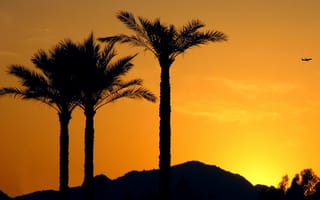 Картинка лето, солнце, силуэт, пальмы, закат, самолёт