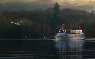 Картинка озеро Уиндермир, Англия, осень, корабль, чайка, лес