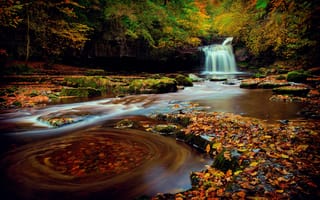 Картинка осень, выдержка, лес, водопад, Северная Англия, листва, Октябрь, Йоркшир