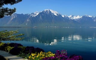 Картинка цветы, отражение, Женева, Швейцария, небо, вода, озеро, горы