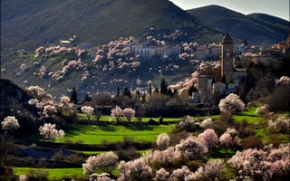 Картинка Santo Stefano di Sessanio, город, цветение, деревья, горы, Italia, весна