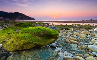 Картинка море, рассвет, утро, камни, камень, водоросли