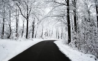 Обои зима, лес, снег, дорога