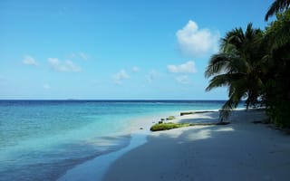 Картинка море, пляж, райское место, Maldives