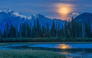 Картинка луна, горы, лес, Vermillion Lake, озеро, Канада, полнолуние