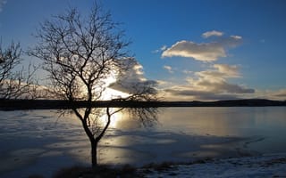 Картинка облако, озеро, дерево, закат, солнце, лед, зима