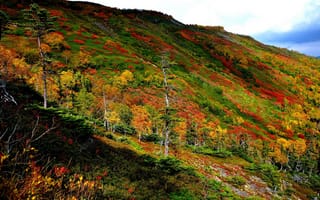 Картинка Ginsendai, color, landscape, Hokkaido, autumn