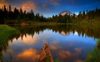 Картинка природа, Oregon, США, пейзаж, лес, вода, Mt Hood National, озеро