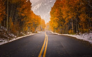 Картинка в Аспен, осень, США, краски, Колорадо, дорога