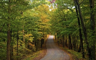 Картинка nature, roads, autumn