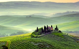 Обои поля, Italy, Пьенца, Pienza, холмы, зелень, туман, рассвет, Тоскана, утро, Tuscany, природа, пейзаж, деревья, Toscana, Италия
