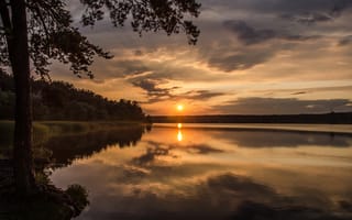 Картинка лучи, Озеро, солнце, закат, отражение, деревья, лес
