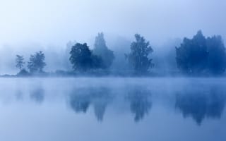 Обои туман, озеро, деревья, утро, сумерки
