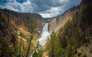 Картинка USА, Wyoming, Canyon Junction, Lower Falls, скала, лес, yellowstone national park, водопад