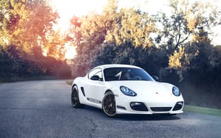 Картинка Porsche, white, front, Cayman