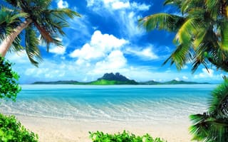 Обои пальмы, пляж, тропики, природа