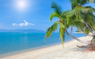 Картинка tropical beach, море, sea, sky, nature, тропический пляж, кокосовой пальмы, clouds, природа, sunlight, облака, небо, landscape, пейзаж, coconut palm, солнце