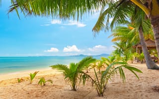 Картинка MaeNam Beach, sand, landscape, sea, tropical Beach, пальмы, пейзаж, Thailand, красиво, Самуи, tropical, тропический пляж, тропический, облака, небо, Koh Samui, песок, palm trees, clouds, beautiful, Таиланд, море, nature, природа, Маэнам, sky