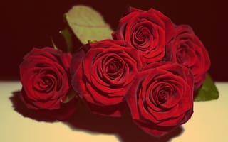 Картинка Love, Bouquet, Present, In Love, Beautiful, Romantic, Flowers, Romance, Valentine's Day, Gift, Lovely, Vintage, Roses, Red Rose, Still Life