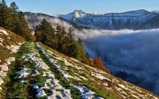 Картинка небо, горы, снег, туман, деревья, склон