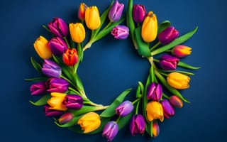 Картинка цветы, colorful, flowers, spring, тюльпаны, wreath, венок, tulips
