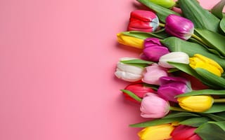 Картинка цветы, букет, tulips, bouquet, spring, flowers, colorful, тюльпаны
