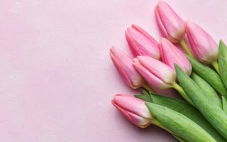 Картинка цветы, букет, spring, pink, тюльпаны, flowers, bouquet, tulips