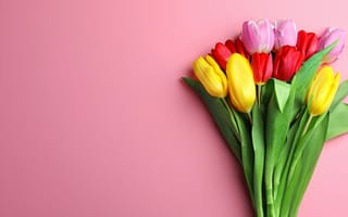 Картинка цветы, букет, тюльпаны, tulips, flowers, spring, bouquet, colorful