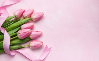 Картинка цветы, букет, pink, тюльпаны, лента, tulips, spring, flowers