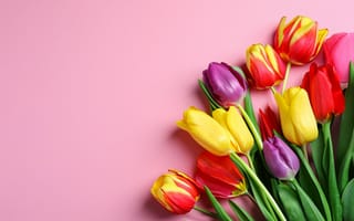 Картинка цветы, букет, spring, tulips, bouquet, flowers, тюльпаны, colorful