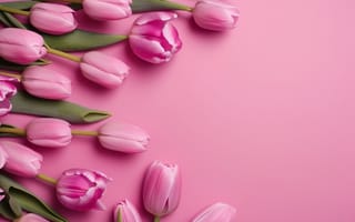 Картинка цветы, букет, spring, tulips, тюльпаны, flowers, bouquet, pink