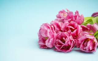 Картинка цветы, букет, tulips, тюльпаны, flowers, pink, розовые, beautiful